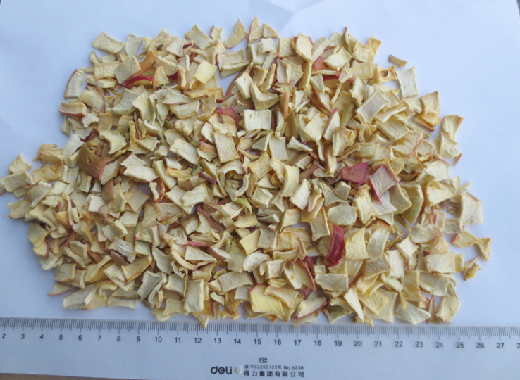 �O������Ƭ